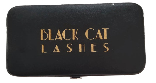 Magnetic Tweezer Case